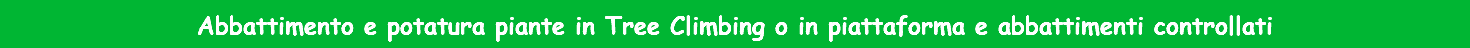 Abbattimento e potatura piante in Tree Climbing o in piattaforma e abbattimenti controllati