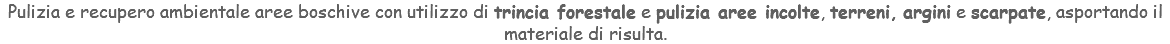 Pulizia e recupero ambientale aree boschive con utilizzo di trincia forestale e pulizia aree incolte, terreni, argini e scarpate, asportando il materiale di risulta.